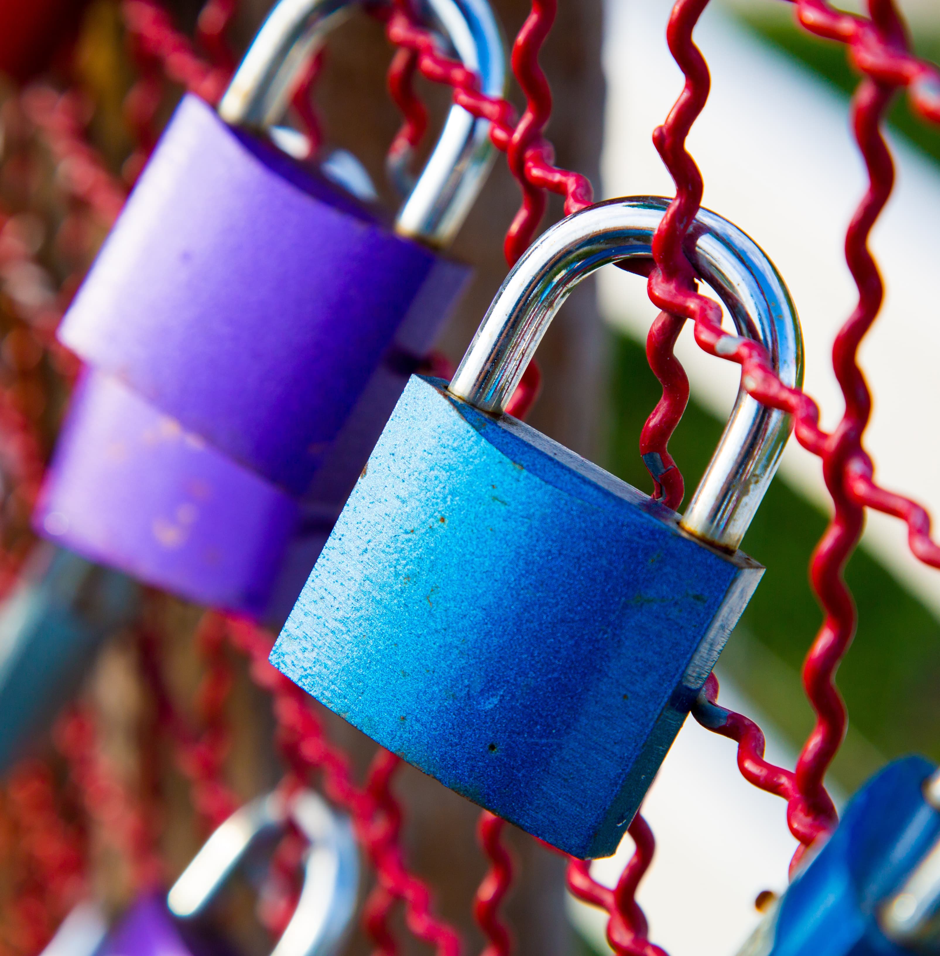 Cybersecurity specialist reviewing backup and recovery status